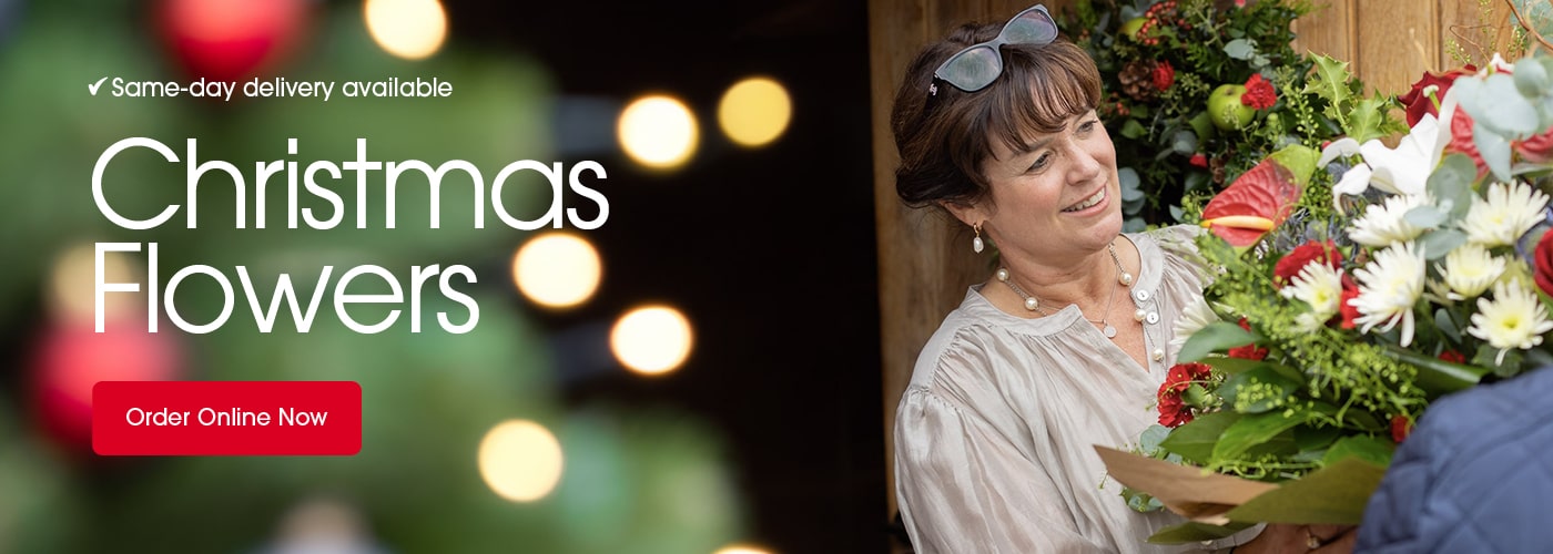 Seasonal bouquets from Dingles Florist in Barnstaple offering same-day delivery