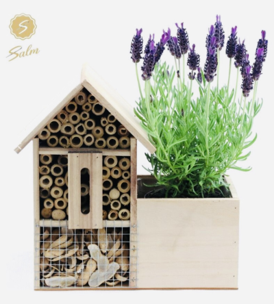 Lavender Insect Hotel - This makes the perfect gift for all garden lovers. We also gift wrap this product using our famous Eco Dingles Wrap Service, to make it extra special.